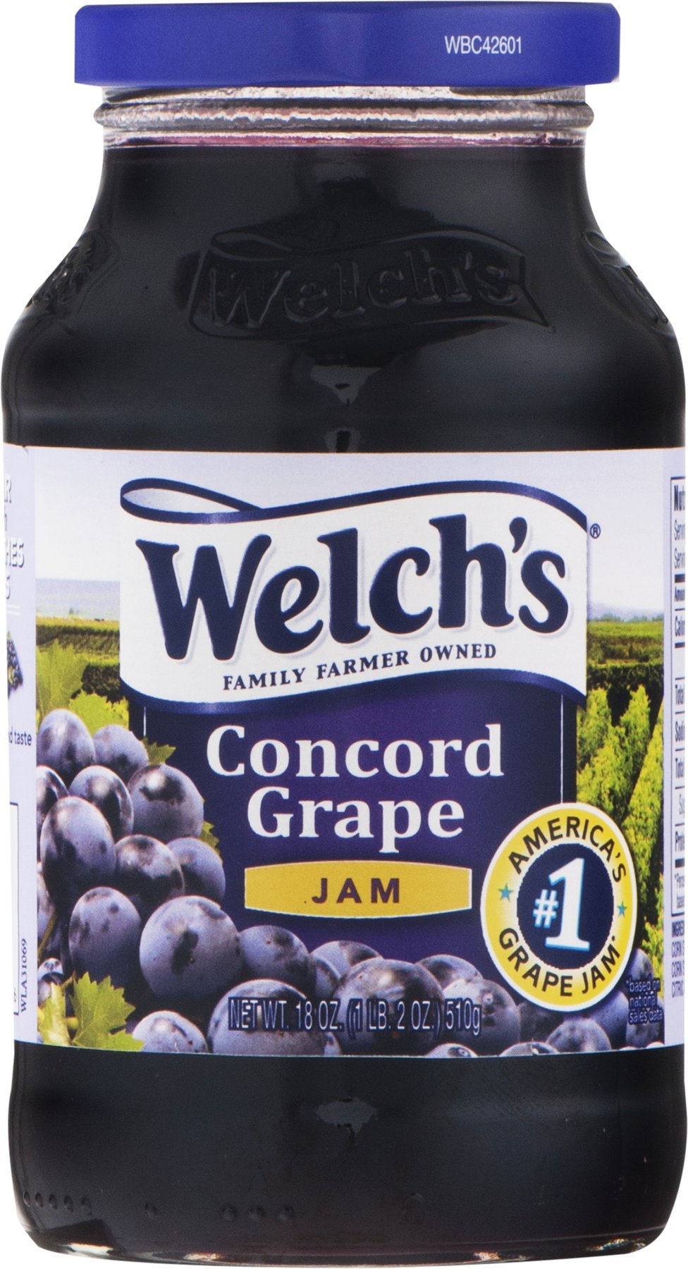 Welch's Concord Grape Jam, 18 oz