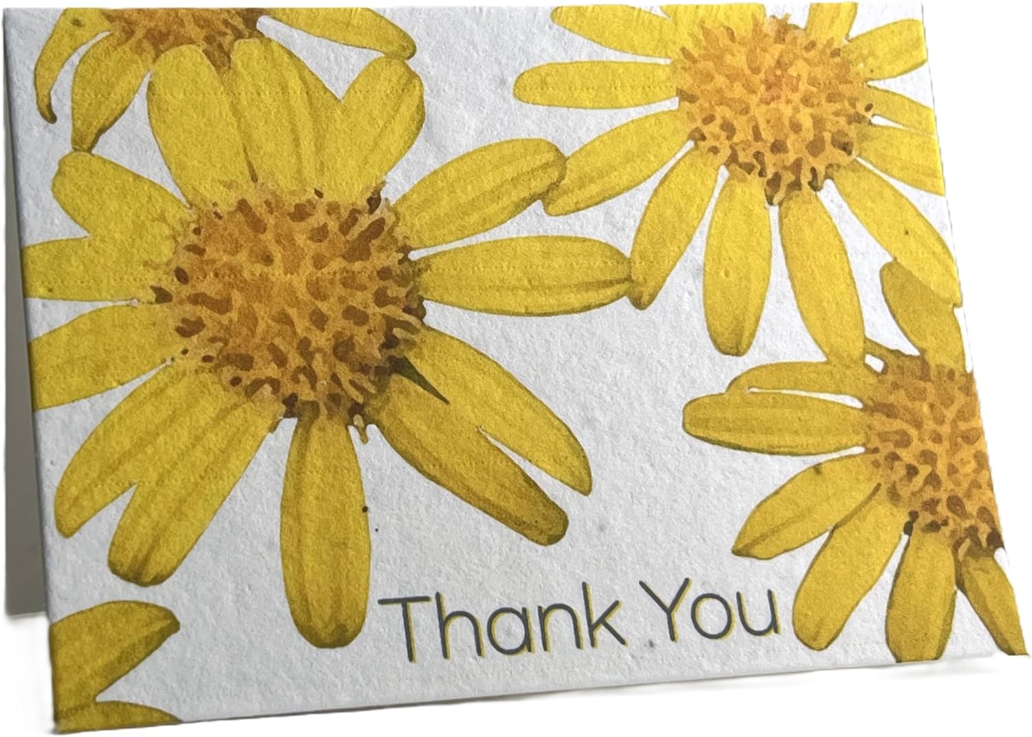 Of The Earth Handmade Paper - Wildflower Seed Handmade Folding Card - Thank You Variations - Blank Inside - 3.5" x 5" - Set of 10 w/Recycled Envelope (Mountains of Thanks)