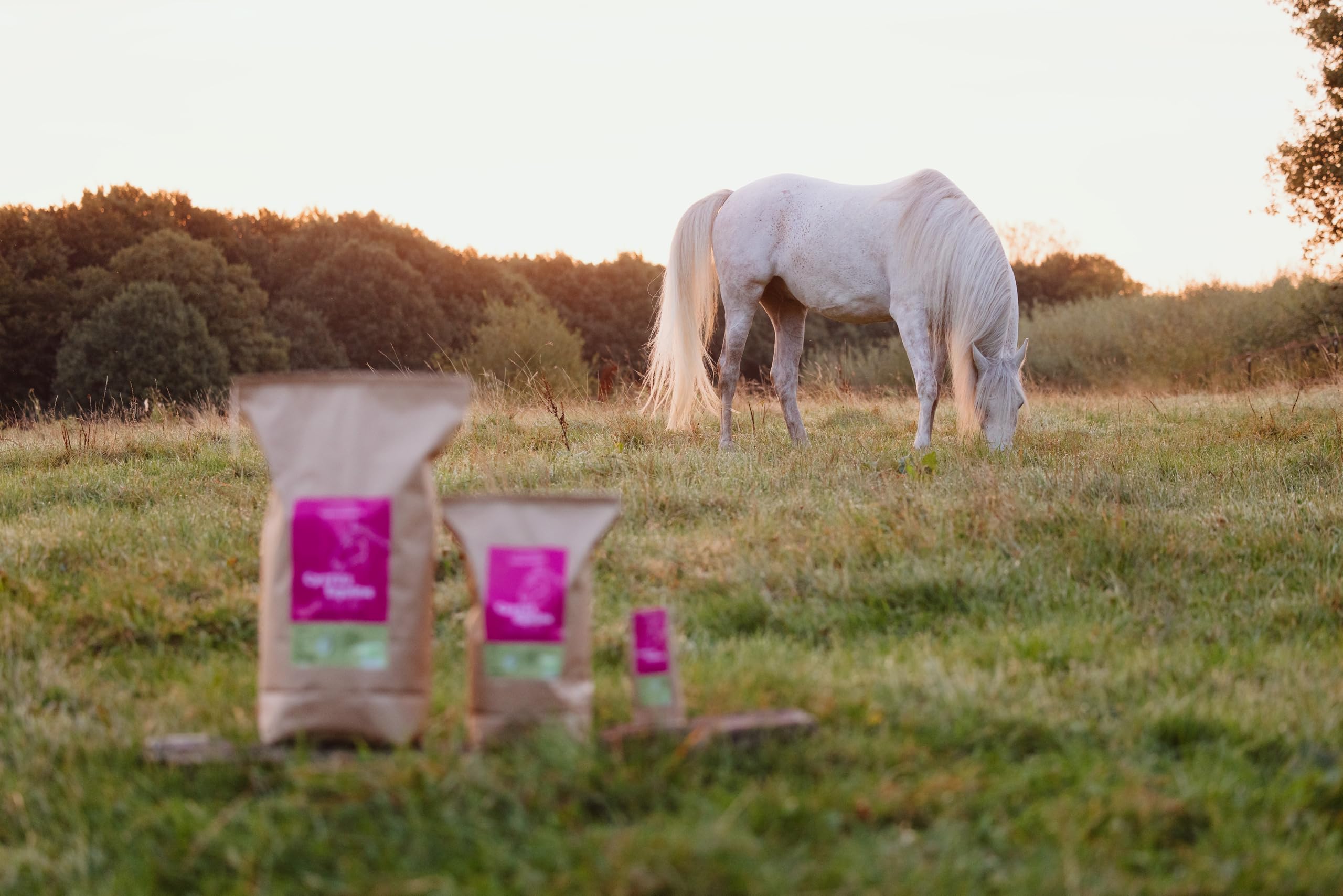 Bio Zistrosenkraut für Pferde 1,5kg – 100% Cistus incanus | Einzelfuttermittel ohne Zusätze & PA, ADMR-konform, Kräuterfutter für mehr Wohlbefinden & Immunsystem