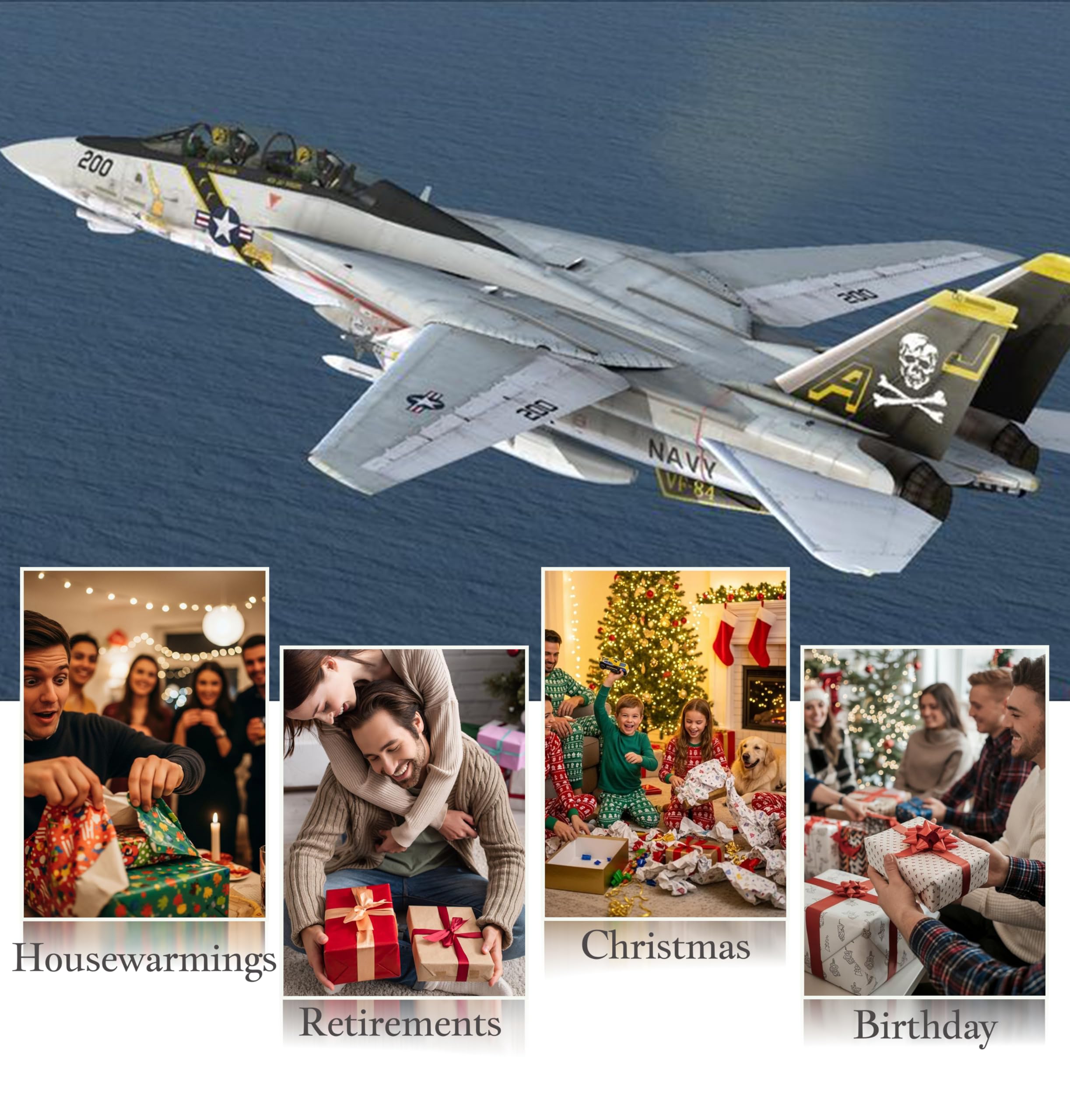 Amazon.co.jp: Udnorbay F-14 トムキャット ダイカスト飛行機-1/100