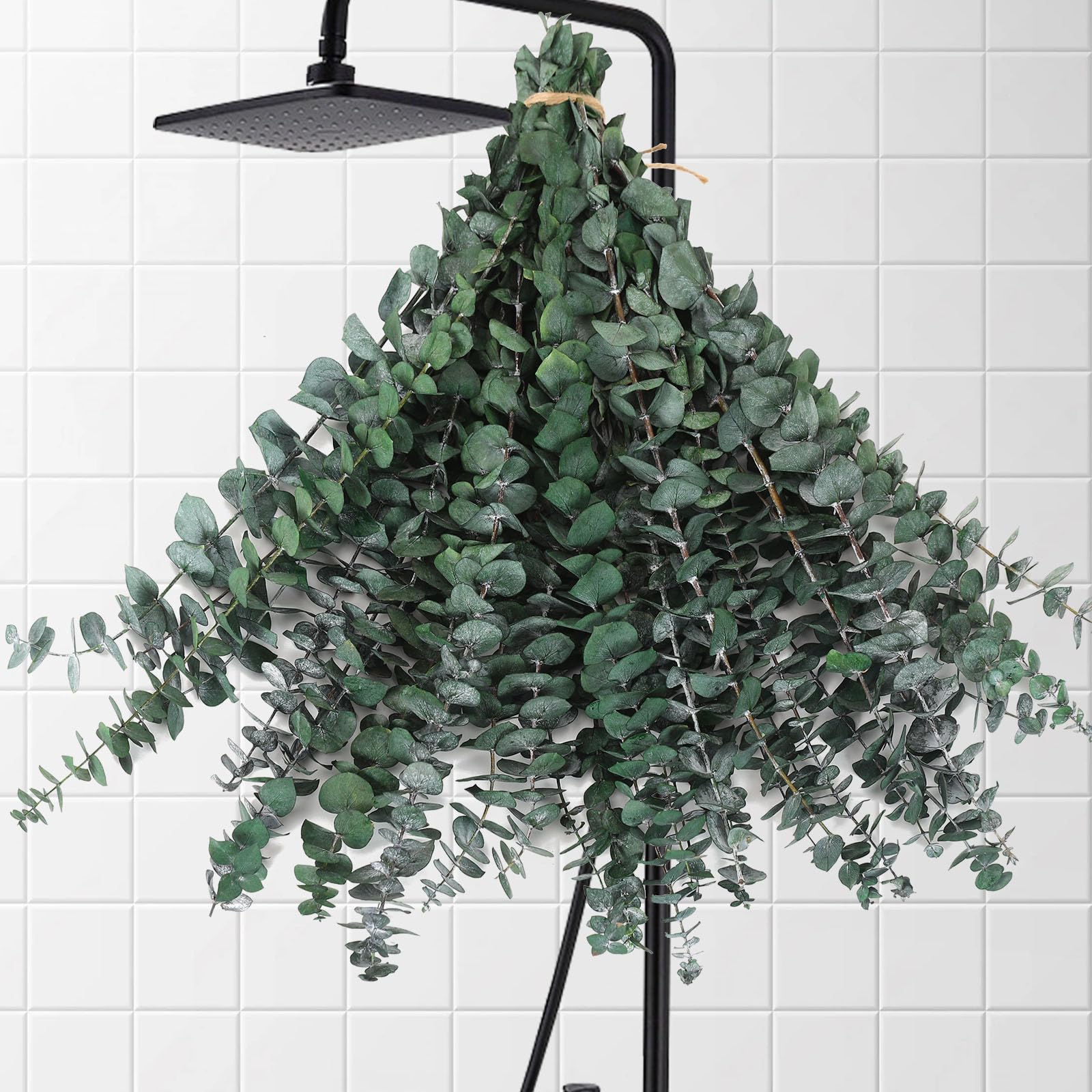Jtoder 30 Pcs Dried Eucalyptus Stems for Shower, 17'' Natural Real Live Eucalyptus Leaves Branches Hanging Shower Plant for SPA Home Fragrance