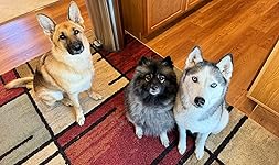 Review Image by mpd_26 mpd_26