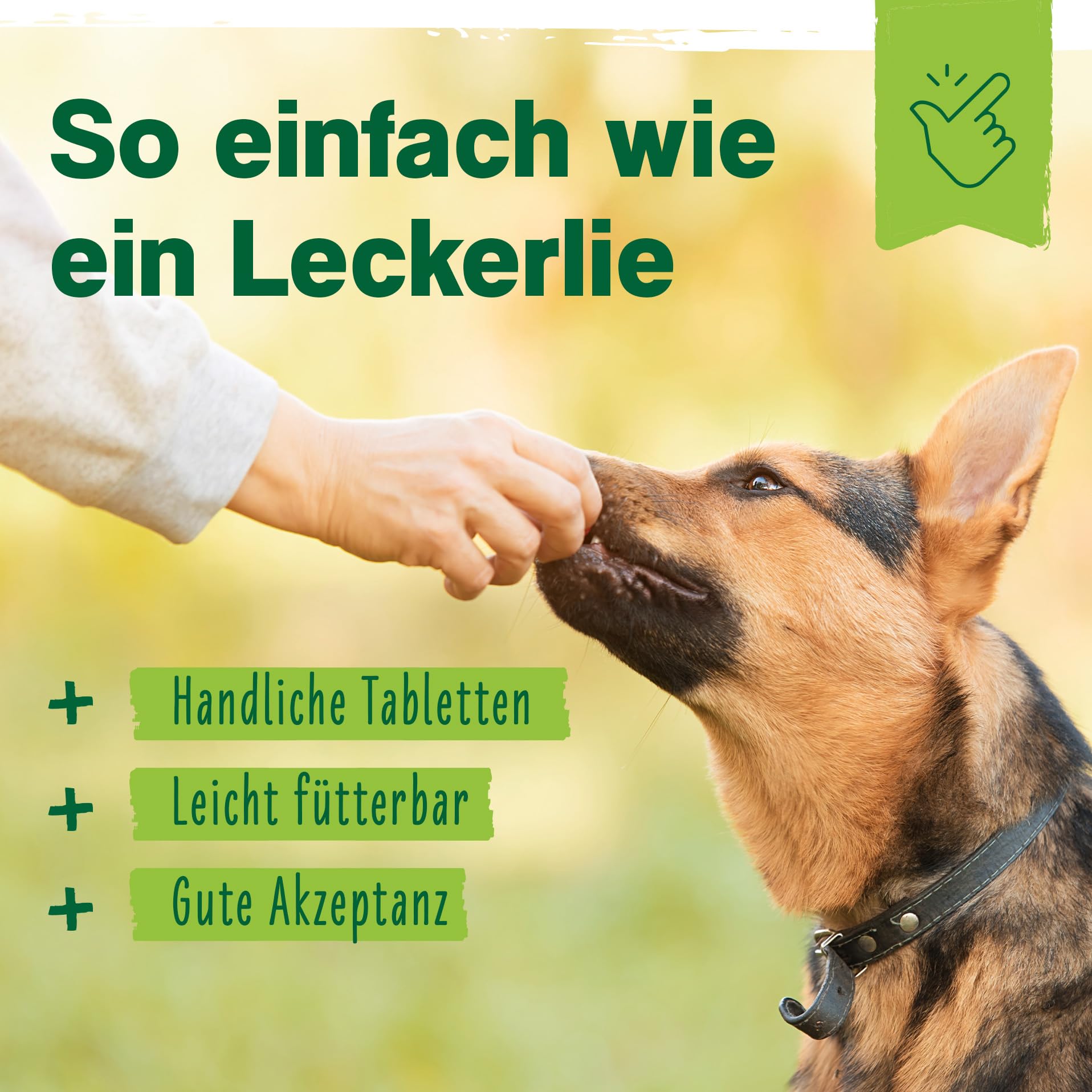 Ida Plus Diar-Stopp Tabs - Kautabletten gegen Hunde-Durchfall - Durchfallmittel - Hund-Darmflora aufbauen mit Probiotika - Darmsanierung - Stoppt Durchfall - 120 Tabletten
