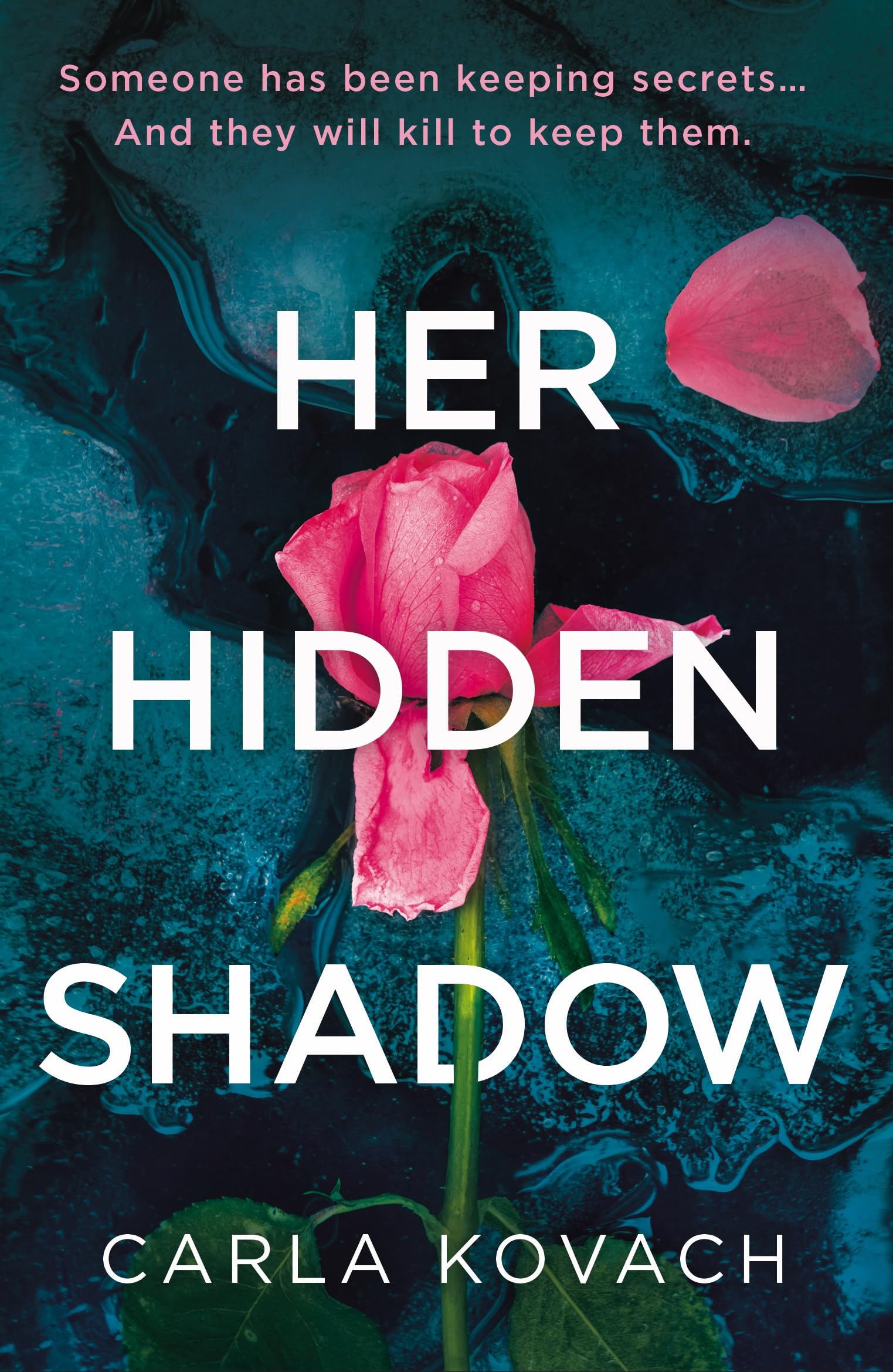 Her Hidden Shadow: A completely nail-biting and gripping crime thriller (Detective Gina Harte Book 14)