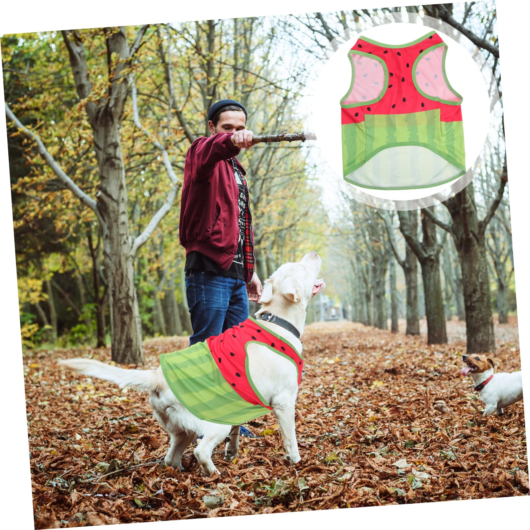 Gilet Rafraîchissant pour Chien Respirant Taille L en Soie
