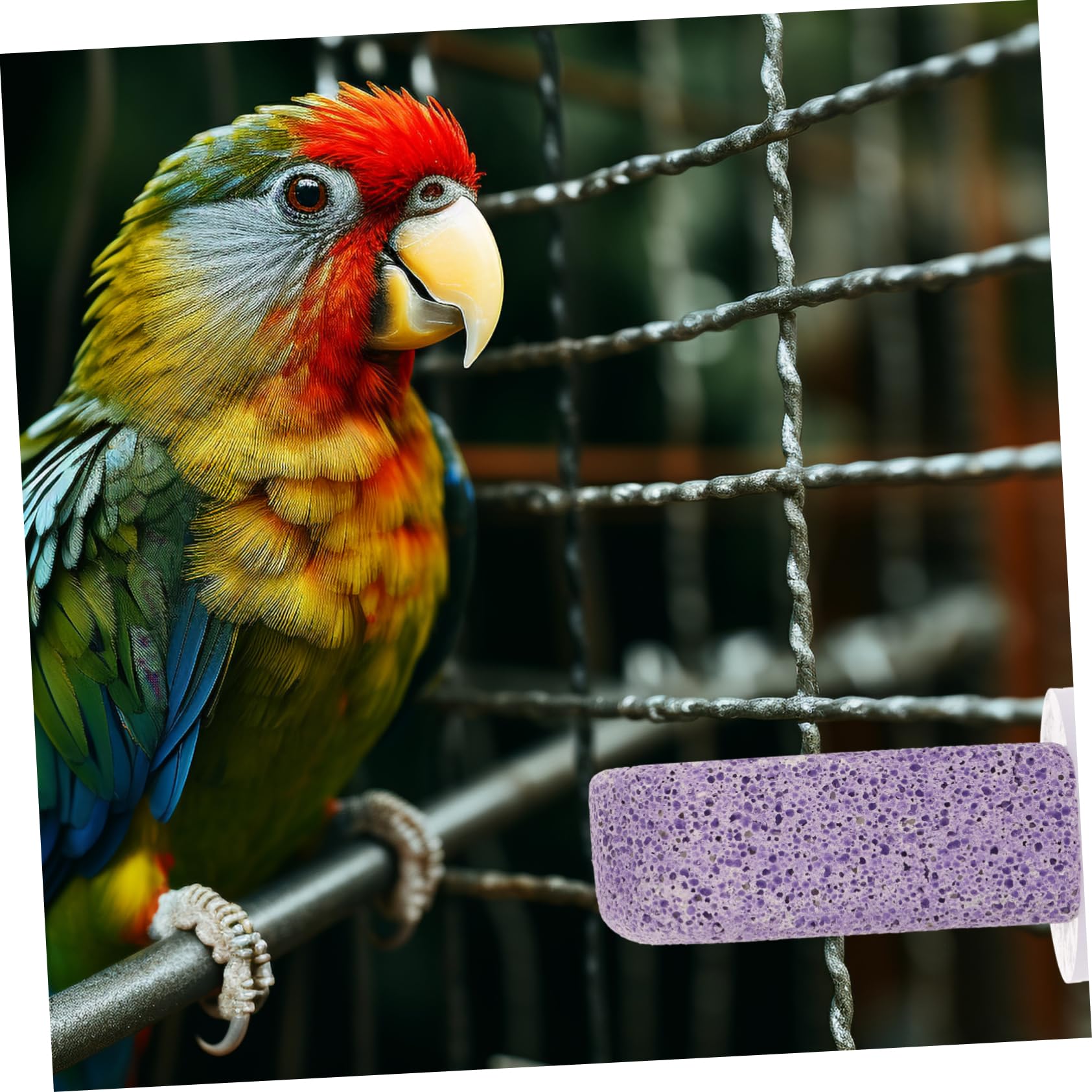 4piezas Percha para Aves Superficie De Esmerilado Accesorio De Jaula para Periquitos y Cockatiels Soporte para Mantenimiento De Garras y Descanso Jaulas De Aves