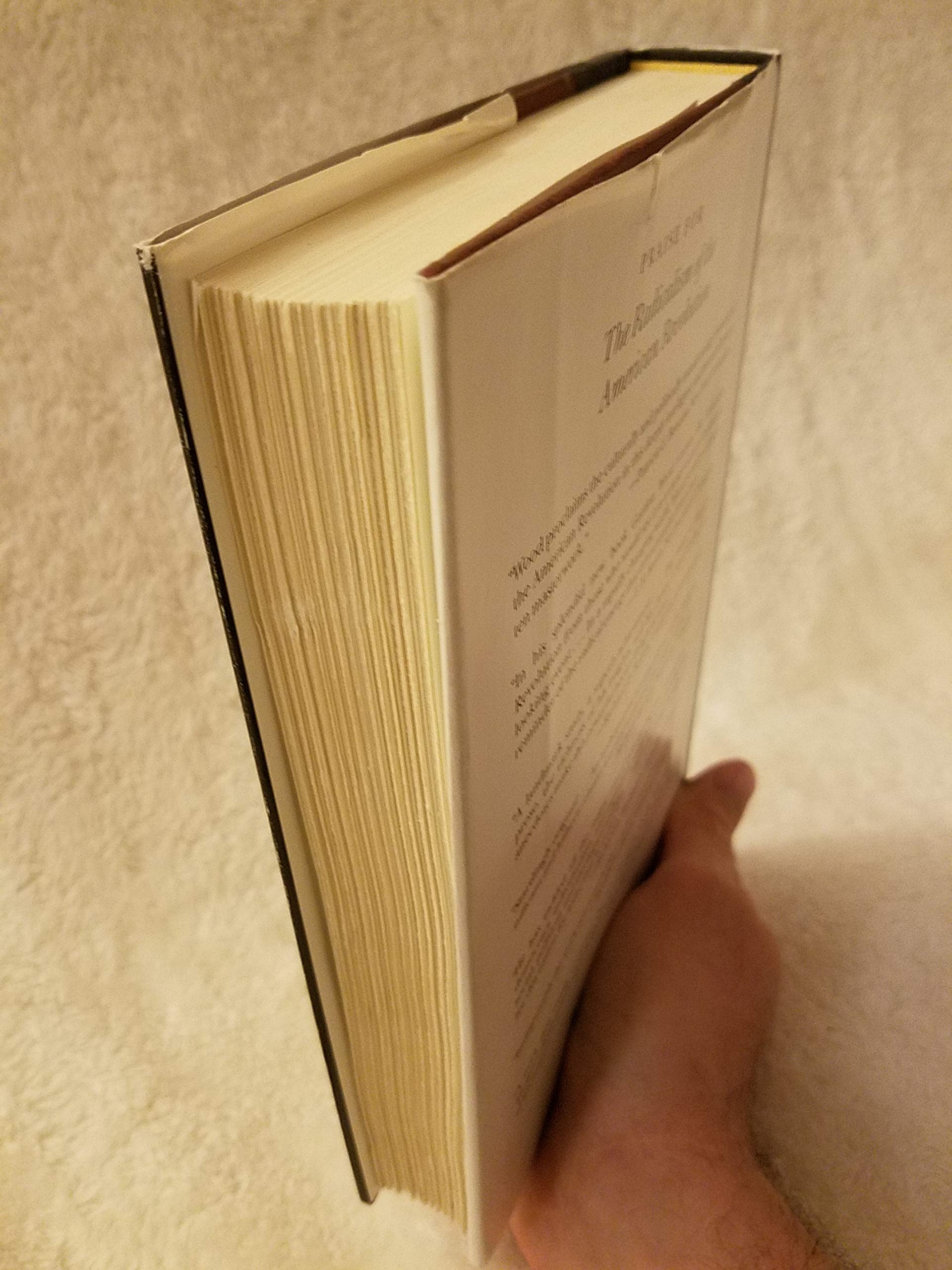 The Radicalism of the American Revolution - Image 4