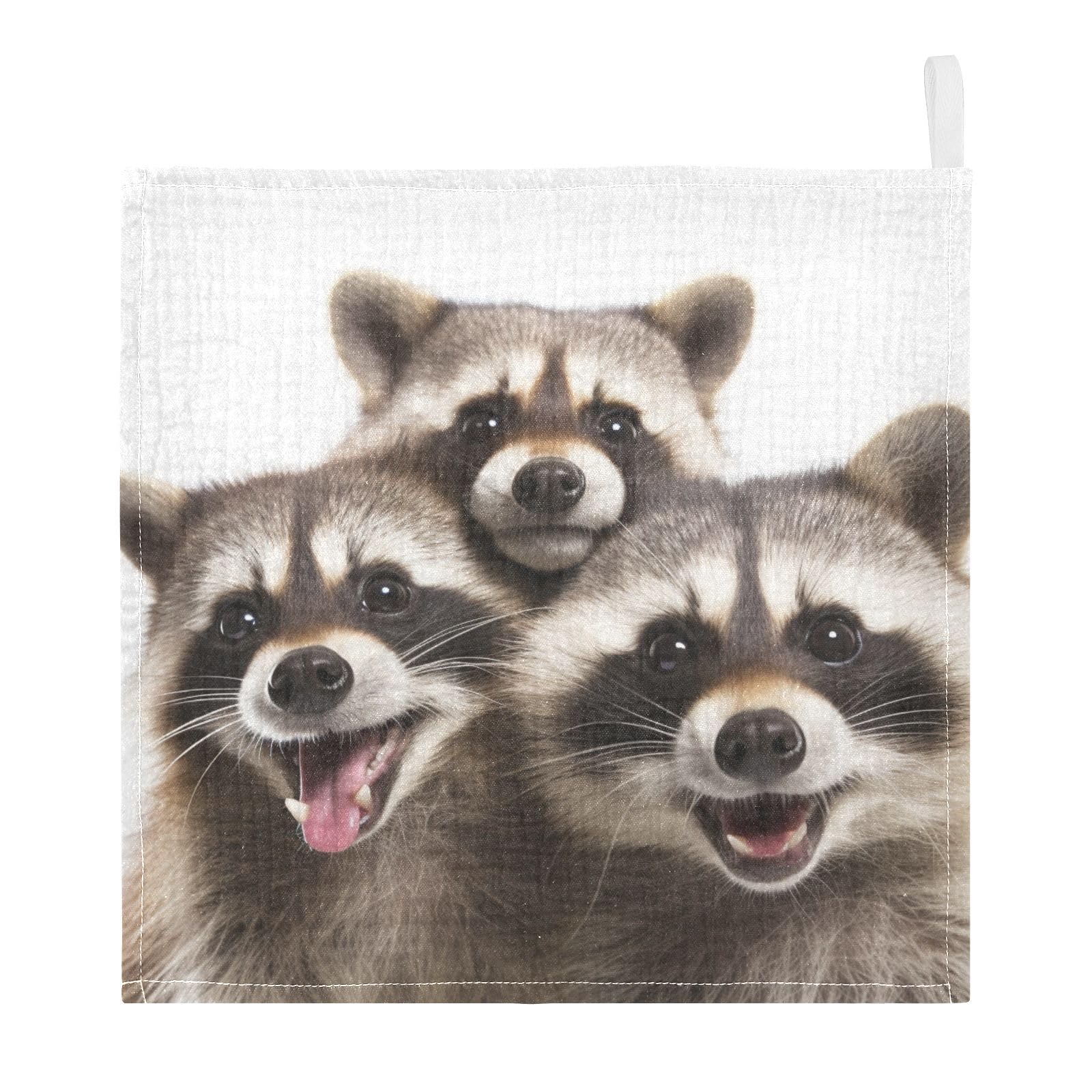 Bolaz Baby Gauze Towels for Kids Soft Handkerchief Newborn 100% Cotton Raccoons Absorbent 12x12 Inch 3 Pack