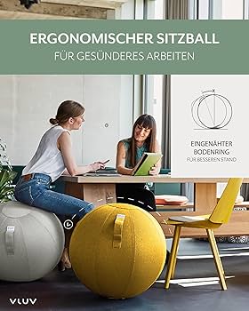 Amazon | VLUV leiV 25.6 