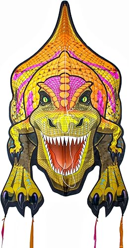 Miniatura 2 de WindNSun Cometas grandes de nailon Ripstop 2D de alta definición