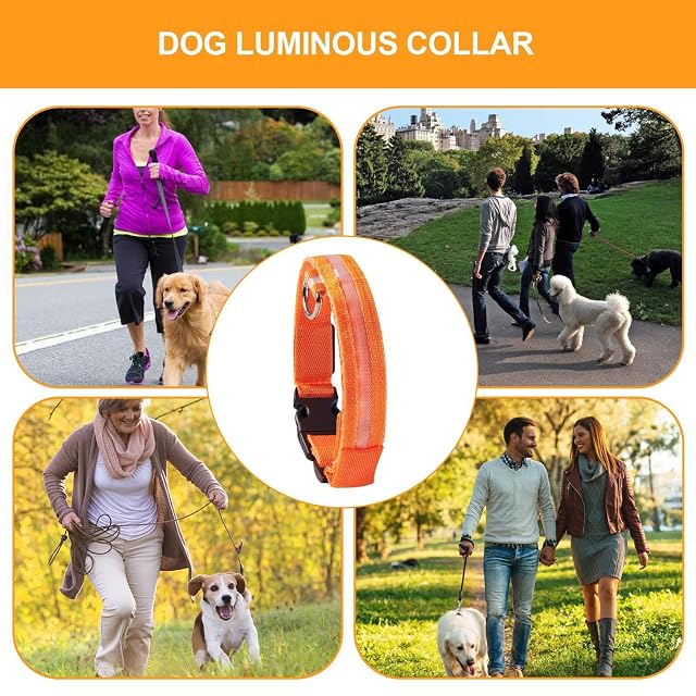 Foto 4 de 8 de Collar LED - Collar Luminoso para Perros - Collar de Seguridad para Perros