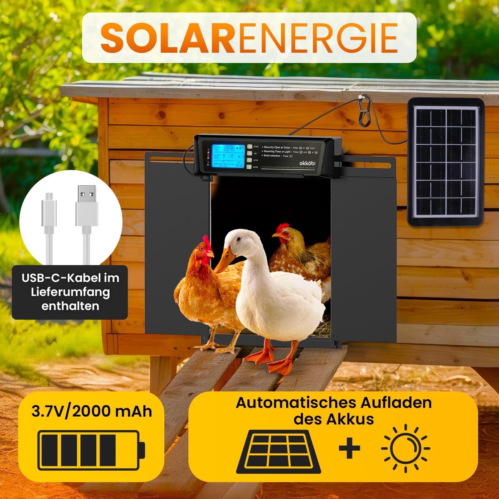 Okkobi Automatische Hühnerklappe Extra Large Solar – LCD Display, Fernbedienung, Lichtsensor, Timer & Einklemmschutz – Öffnung 28,7 x 22,1 cm – 5 Jahre Schutz – Schwarz