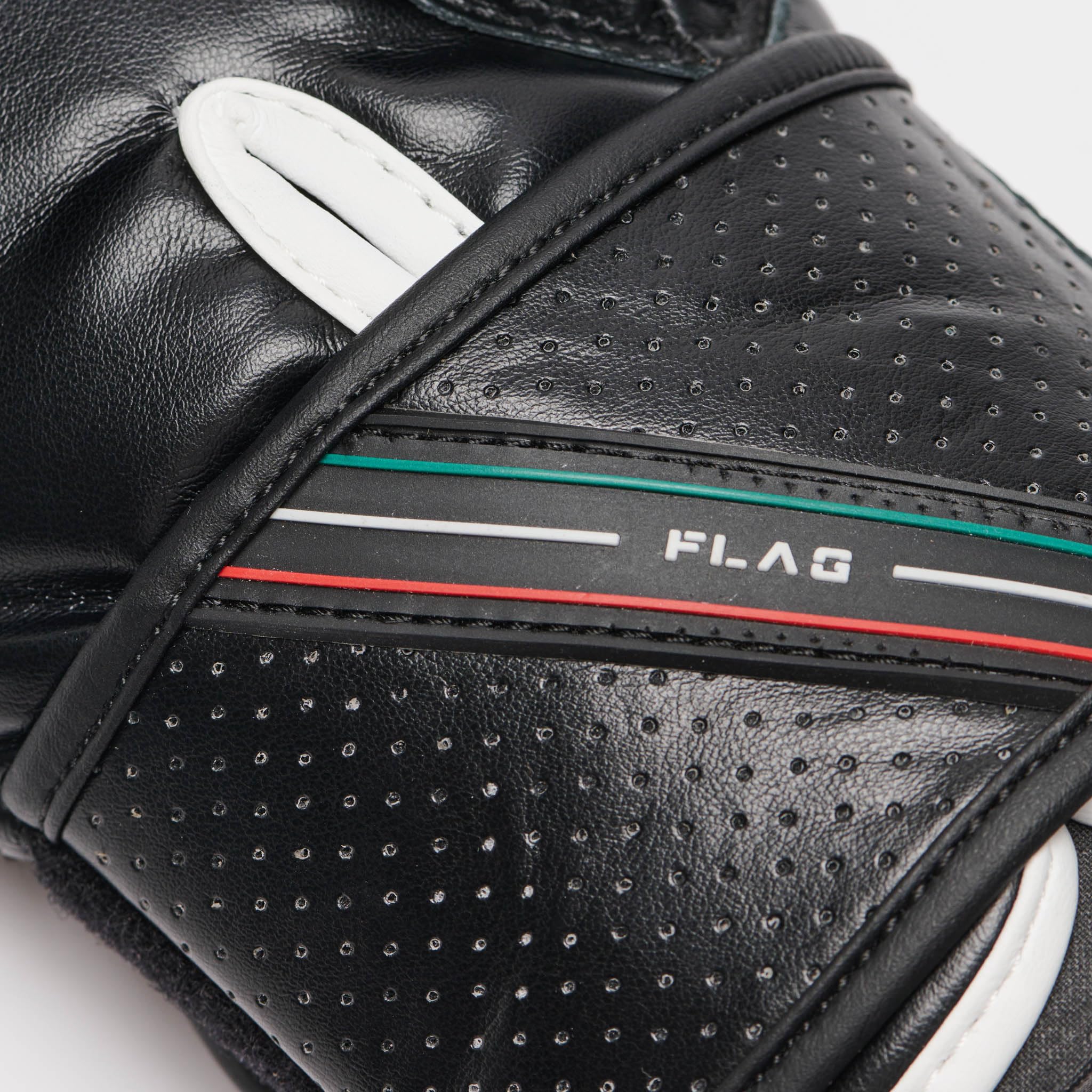 Amazon | LEONE 1947 格闘技 ボクシング グローブ ユニセックス [ FLAG