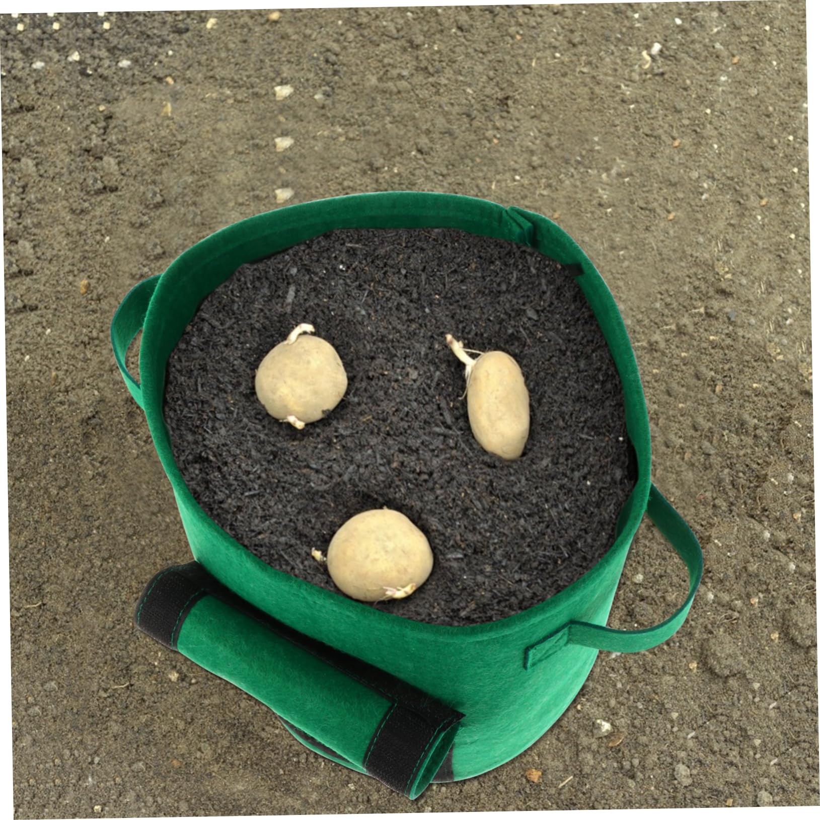 Toddmomy 2 Sätze Pflanzsack Atmungsaktive Pflanzenbeutel Für Kartoffeln Und Tomaten Gallonen Wasserdichtes Material Robust Und Wiederverwendbar 2 Stücke * 2