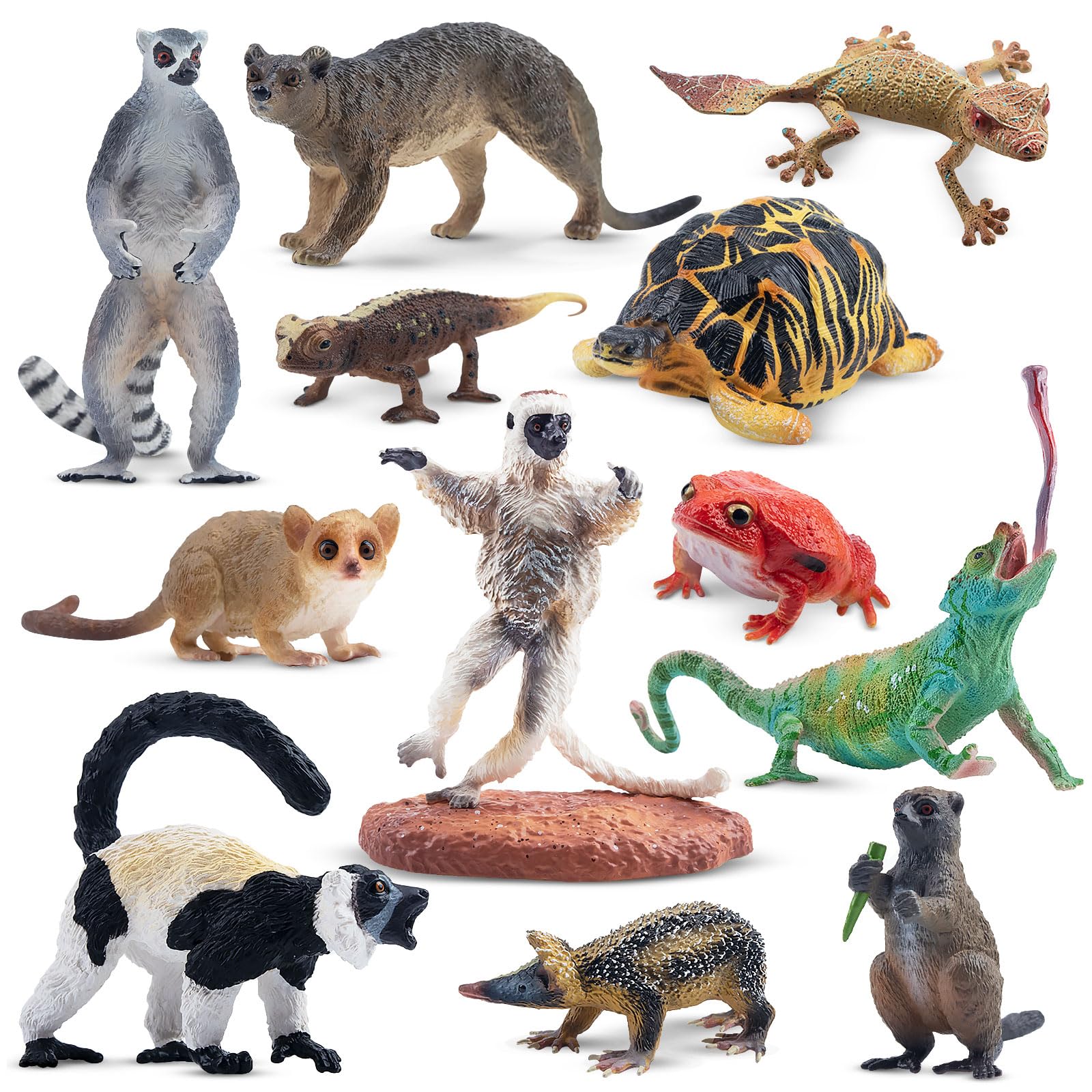 Toymany 12PCS Madagascar Animal Figurines Set, Realistic Lemur Jungle Animal Toys Set Includes Chameleon, Tortoise,Gecko,Fossa,Sifaka -Educational