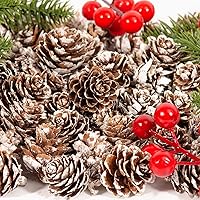 Vista 3 de ZYP 230 mini piñas de pino de nieve a granel, adornos de piñas rústicas de Acción de Gracias, rellenos de jarrón, piñas pequeñas para manualidades