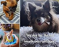 Vista 6 de Earthbones - Masticables dentales para perros de 10 a 20 libras, 30 huesos