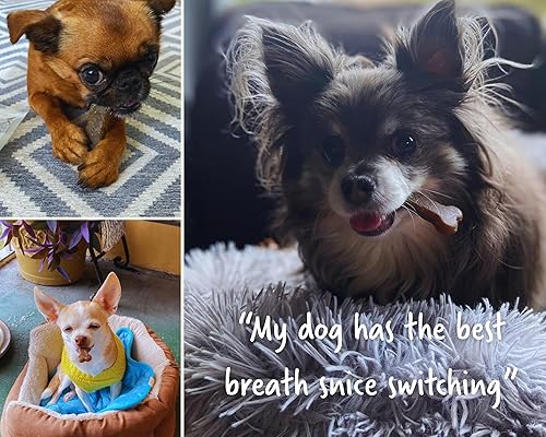 Miniatura 6 de Earthbones Dental para perros pequeños, 90 unidades (3 unidades)