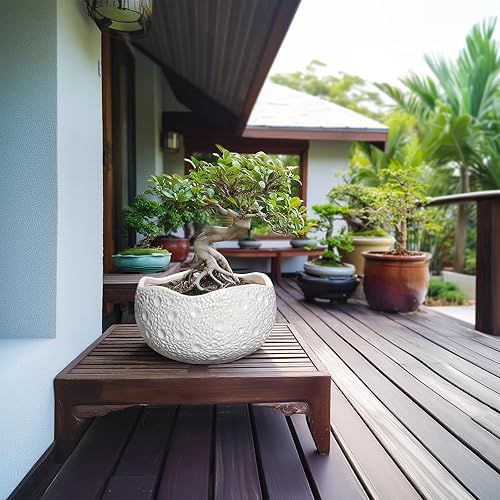 Miniatura 4 de Maceta de cerámica de 10 pulgadas para interiores y exteriores, macetas redondas para bonsái, macetas decorativas con agujero de drenaje, macetas