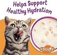 Vista 4 de Purina Friskies Lil' Soups Lil' Grillers & Lil' Slurprises complemento alimenticio para gatos