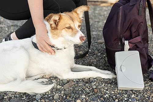 Miniatura 7 de Ubbi - Dispensador de toallitas para mascotas