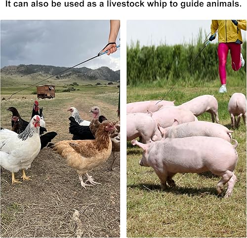 Miniatura 7 de Látigo de doma de caballo 43 pulgadas, palo de ganado de entrenamiento de látigo de cerdo con pulsera