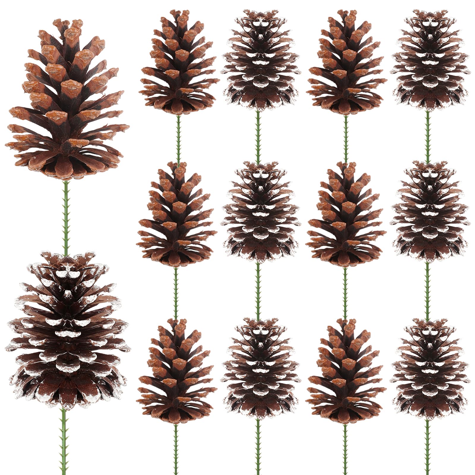 Fangoo 12 Pièces 8-12cm Grande Pommes de Pin Naturelles Decorative Pommes de Noël Couronne de Pommes de Pin Artisanat DIY pour la Décoration de Thanksgiving et de Noël (Blanc Naturel)