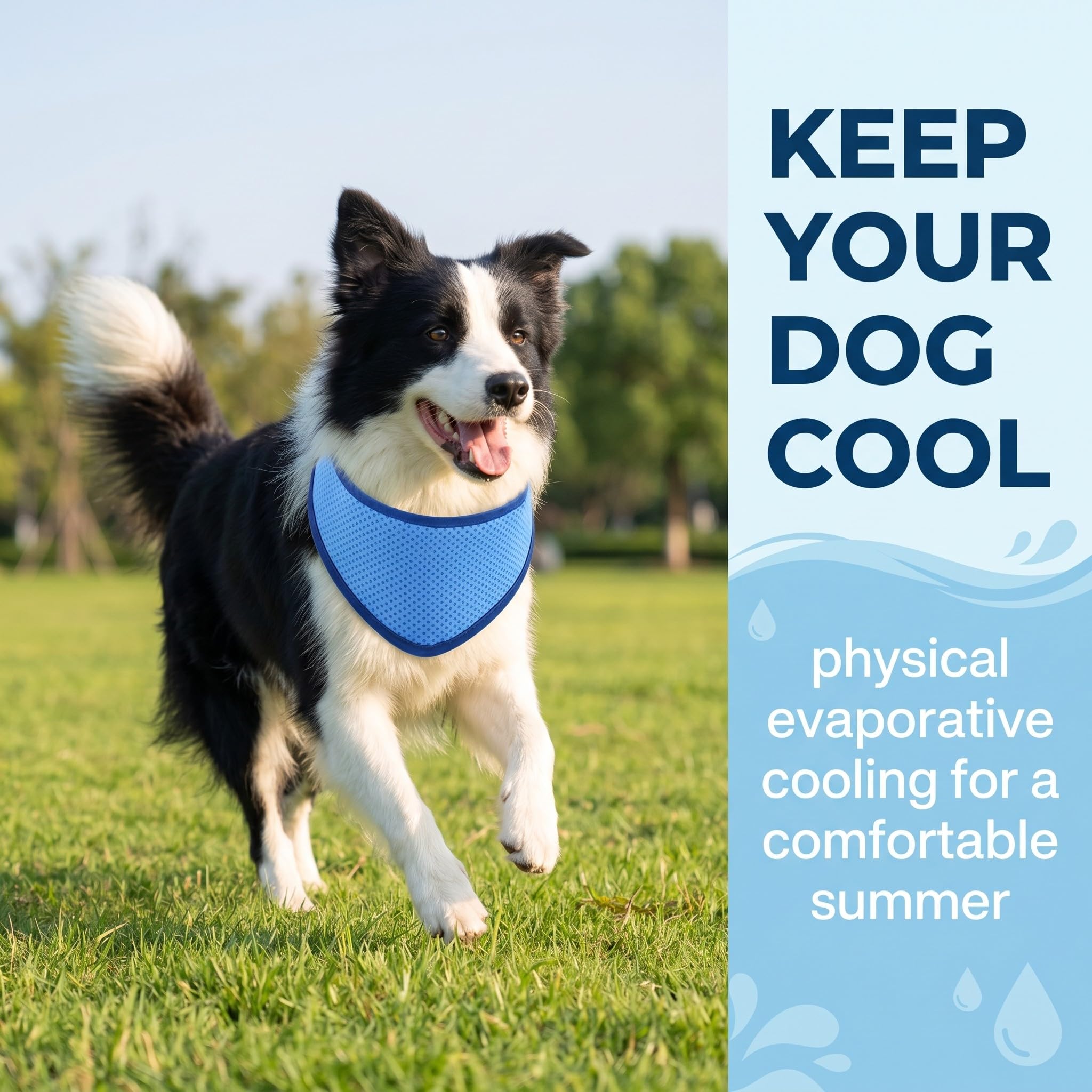 Collare rinfrescante per cane blu M, bandana fresca estiva 30-40 cm, accessorio riutilizzabile per passeggiate