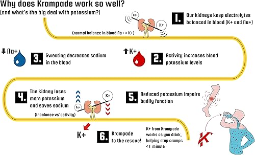 Miniatura 8 de Krampade Azúcar reducido original 4K  4000 mg de potasio para aliviar calambres instantáneos  Detén calambres + hidratación  Bolsa resellable de 19