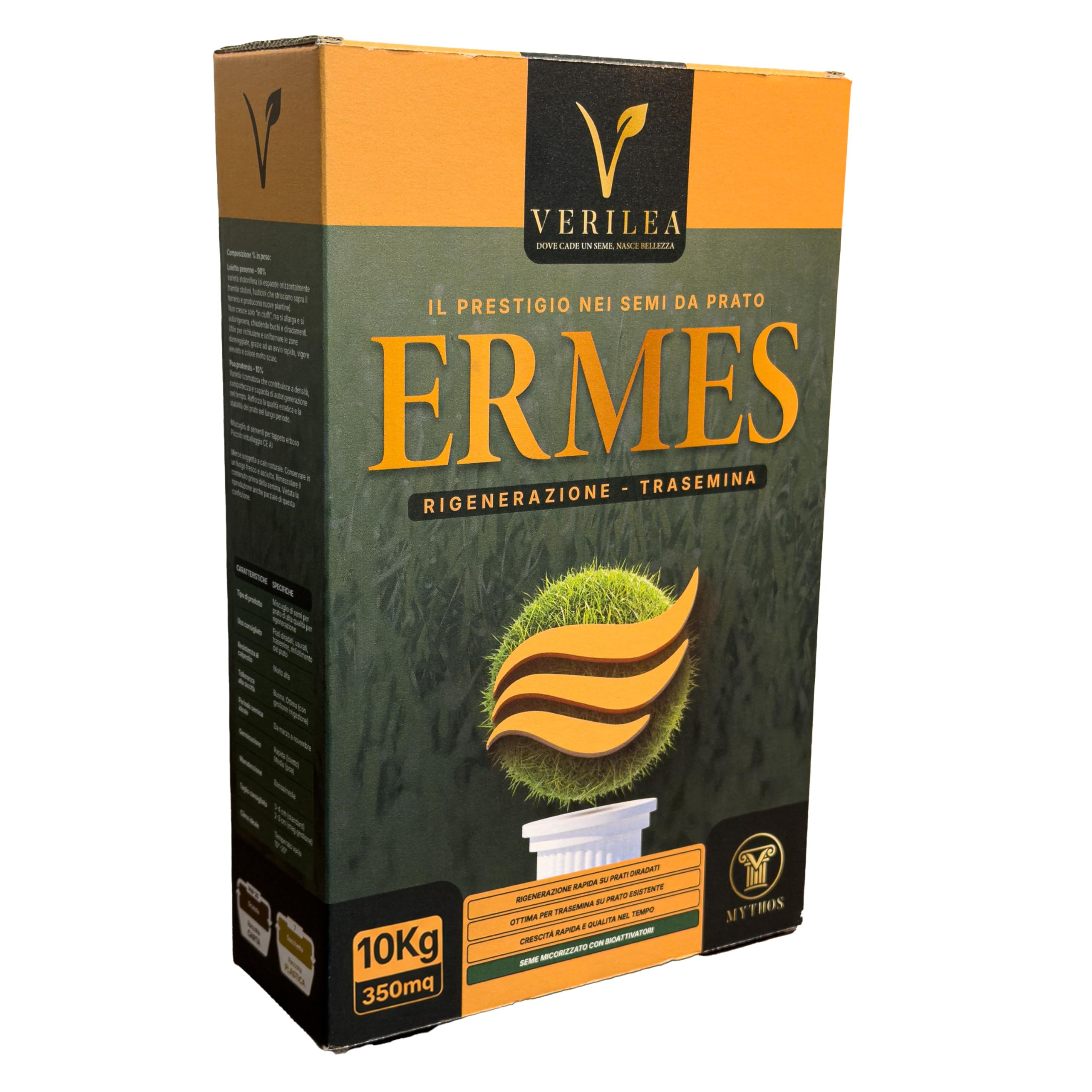 ERMES Semi da Prato micorizzati, Loietto Perenne 90%, Poa Pratensis 10%, Crescita Rapida (10Kg per 350mq)