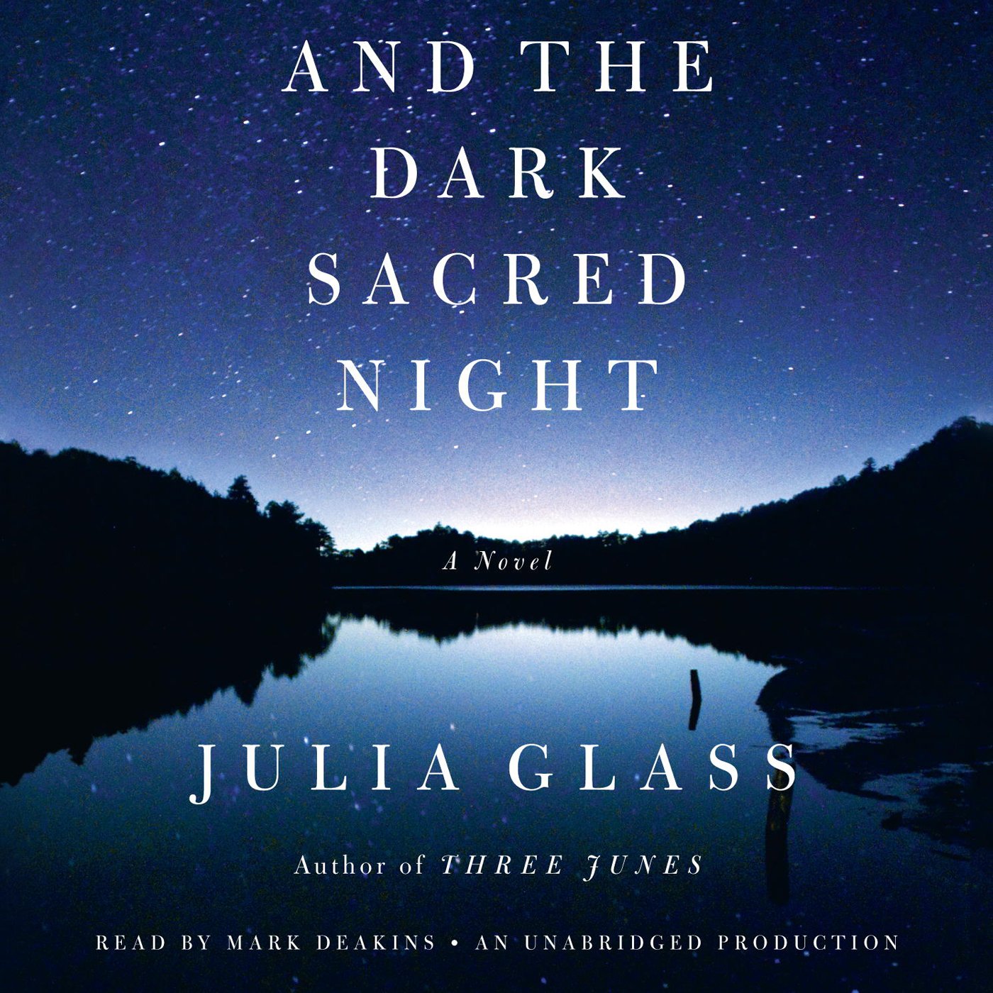 Cover art for And the Dark Sacred Night