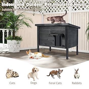 Straw bedding in outdoor cat shelter showing proper installation