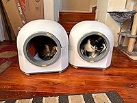 Review Image by Harley Harley