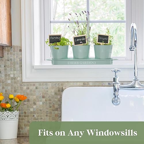 Miniatura 4 de PERFNIQUE Jardín de hierbas para interior, maceta de jardín de hierbas para interiores y exteriores, macetas de granja, jardín de hierbas en el