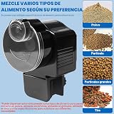 Ver la foto 4