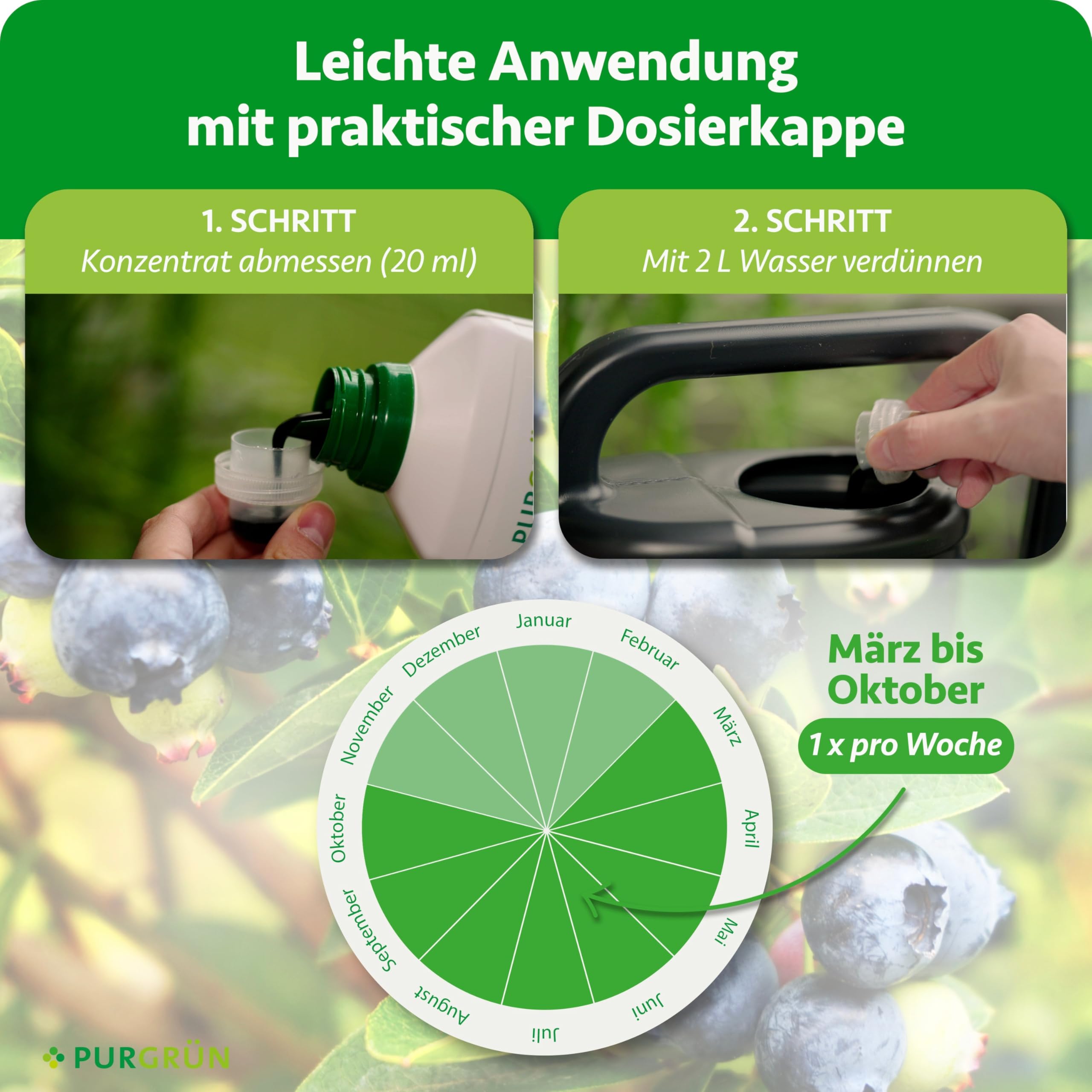 Bio-Heidelbeerdünger 1 Liter – Organische Rezeptur – Premium-Flüssigdünger – NPK 4+1+7 – Mit Algenextrakt & Vinasse – Kalium für aromatische Heidelbeeren – Ohne tierische Inhaltsstoffe