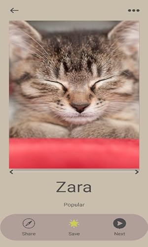 Gerador de nome de gato