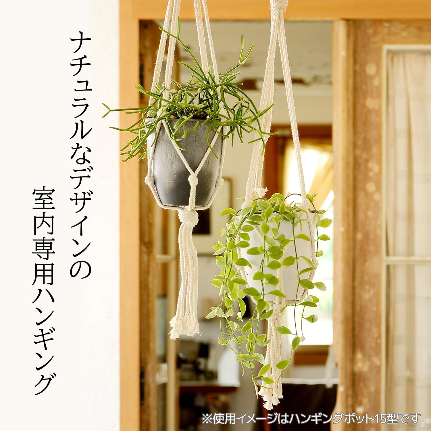 Richell 003387 Botany, Hanging Pot, 15 Type, Dark Gray, Set of 3, Vegetables, Stylish, Outdoor, Soil, Plants, Ornamentals, Plants, Plants, Bonsai