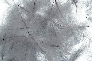 8-Quart Digital Air Fryer