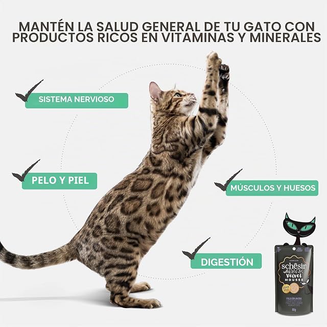 Foto 7 de 8 de Schesir - Comida húmeda para gatos adultos Schesir After Dark pato y pollo 80g