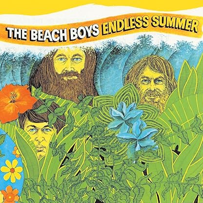 Endless Summer [Disco de Vinil] por The Beach Boys — capa do álbum