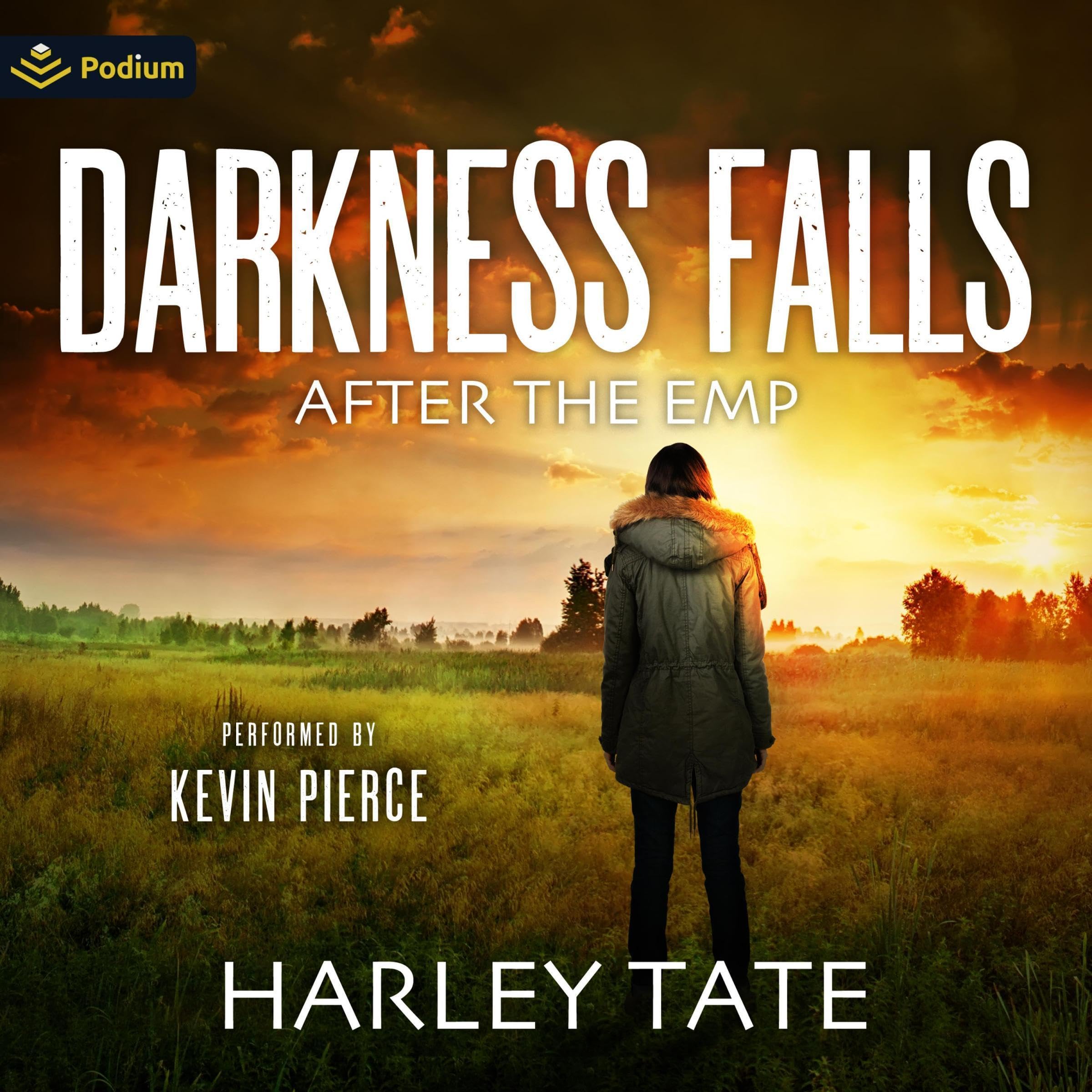 Cover art for Darkness Falls: After the EMP