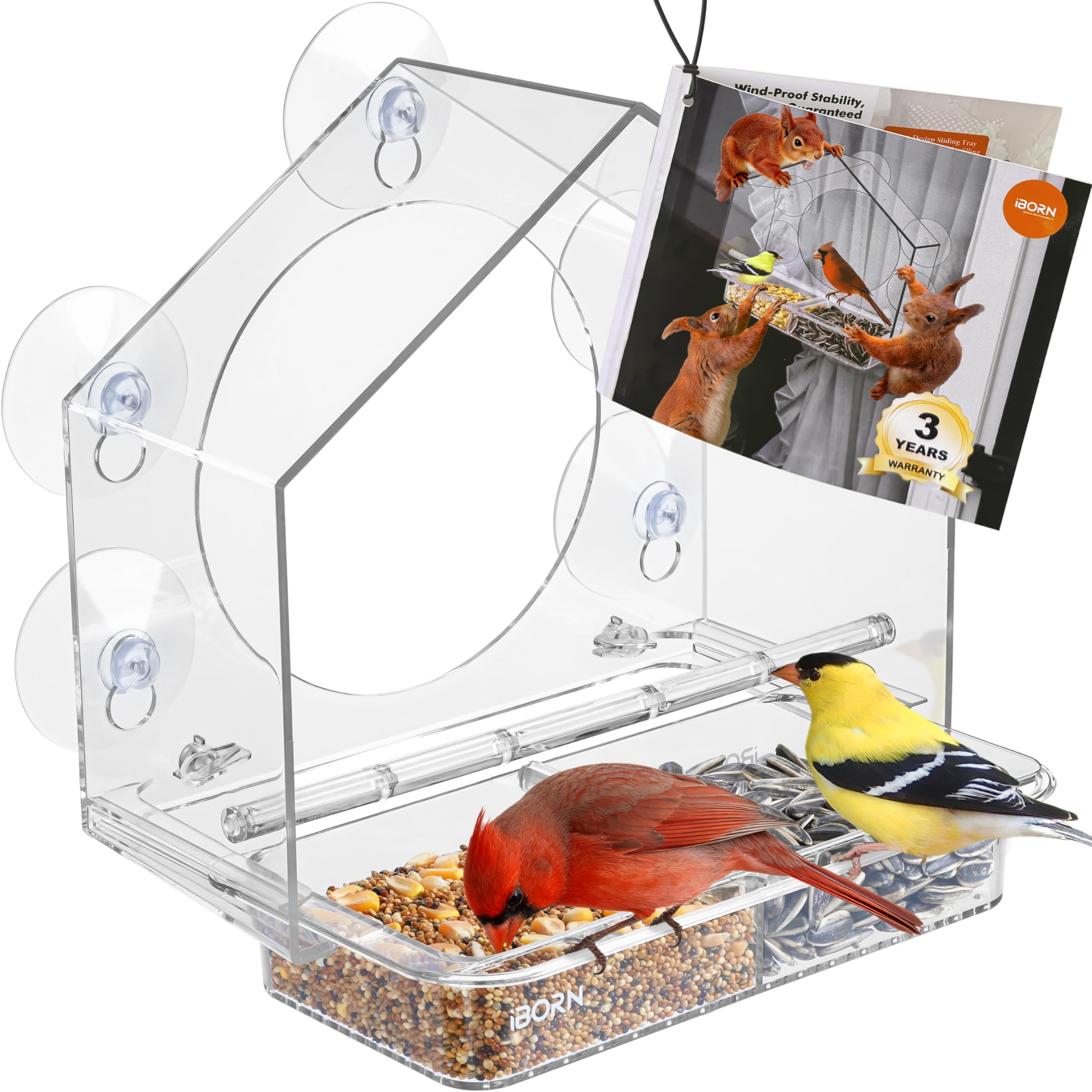 iBorn 2026 New Window Bird Feeder