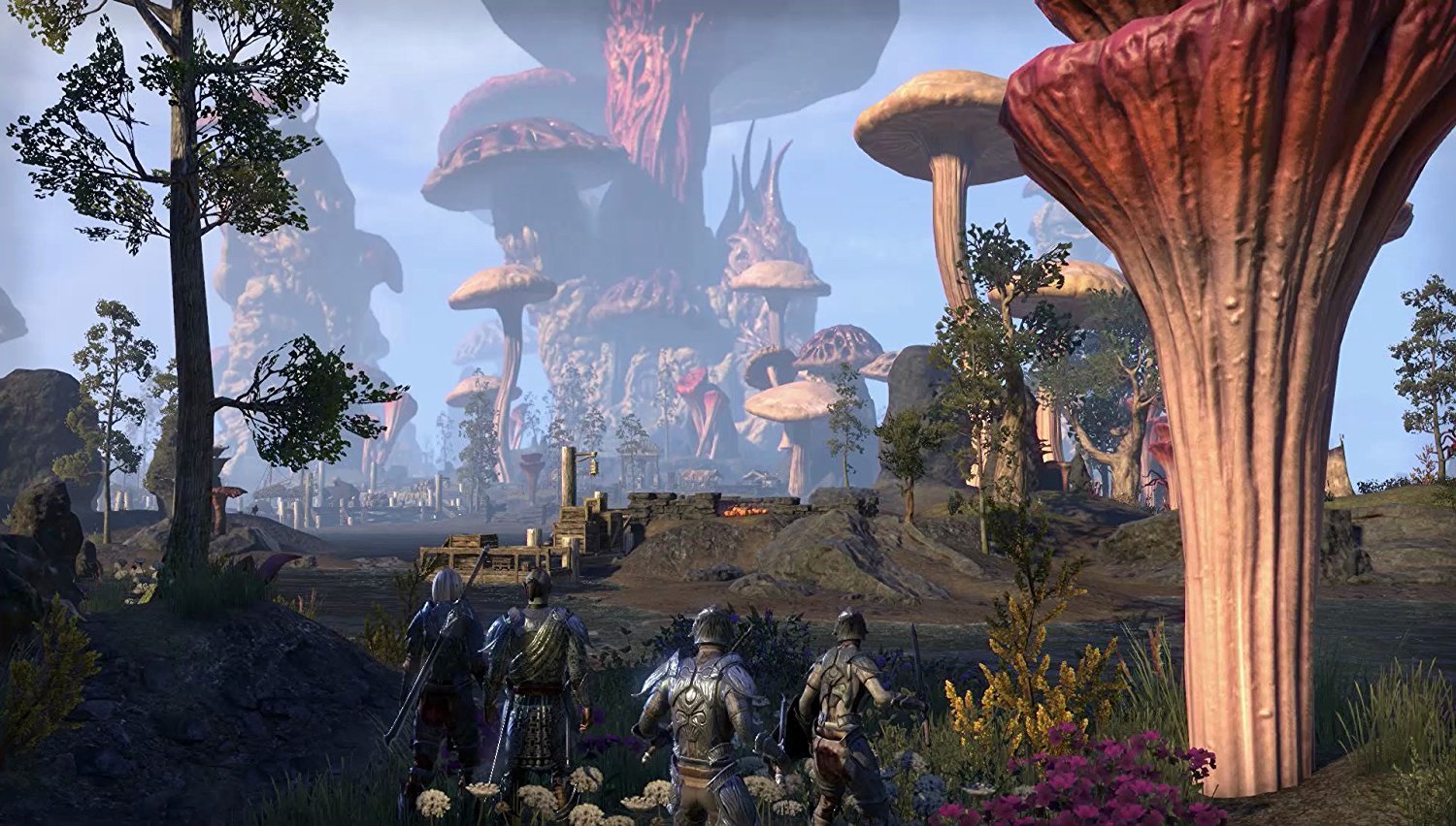 The Elder Scrolls Online: Morrowind [PC] [Edizione: Germania]