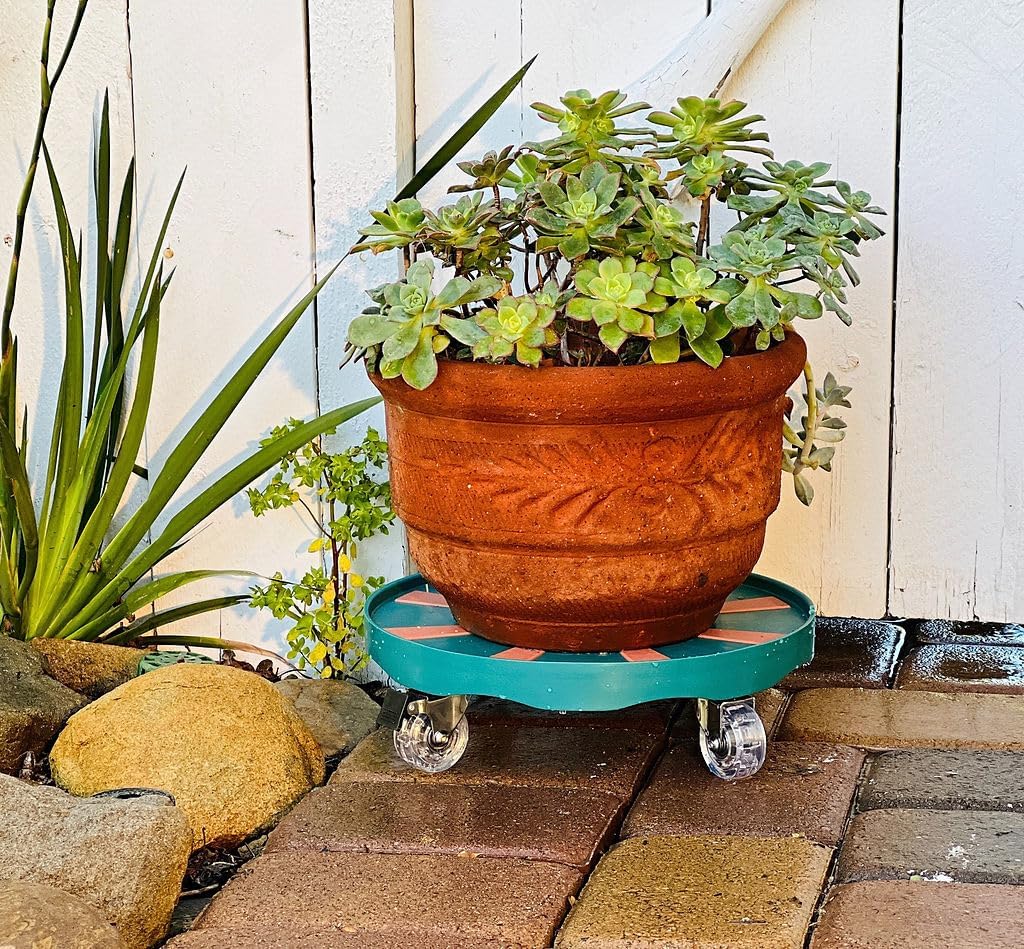 ROLLY GREENS™ Plant Caddy, 12”, Engineering Grade Plastic, Urethane Wheels with Locking Mechanism, 250 lb. Load Capacity, Anti-Skid Surface, for Indoor/Outdoor use. (2, Brown-Ocean)