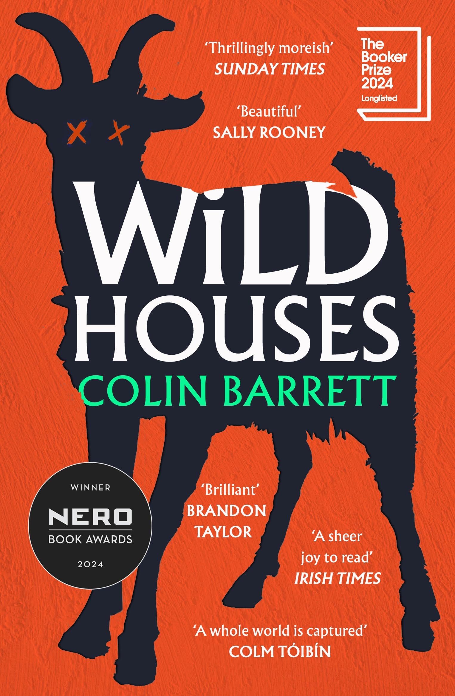 Wild Houses: Discover the thrilling debut novel from the award winning Irish author