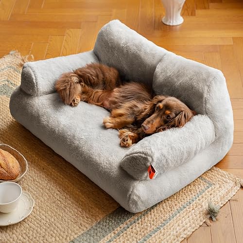 Miniatura 5 de MEWOOFUN Sofá cama de interior para gatos, cama, lavable, para gato o perro pequeño o mediano de hasta 25 lb, cama esponjosa para mascotas, base