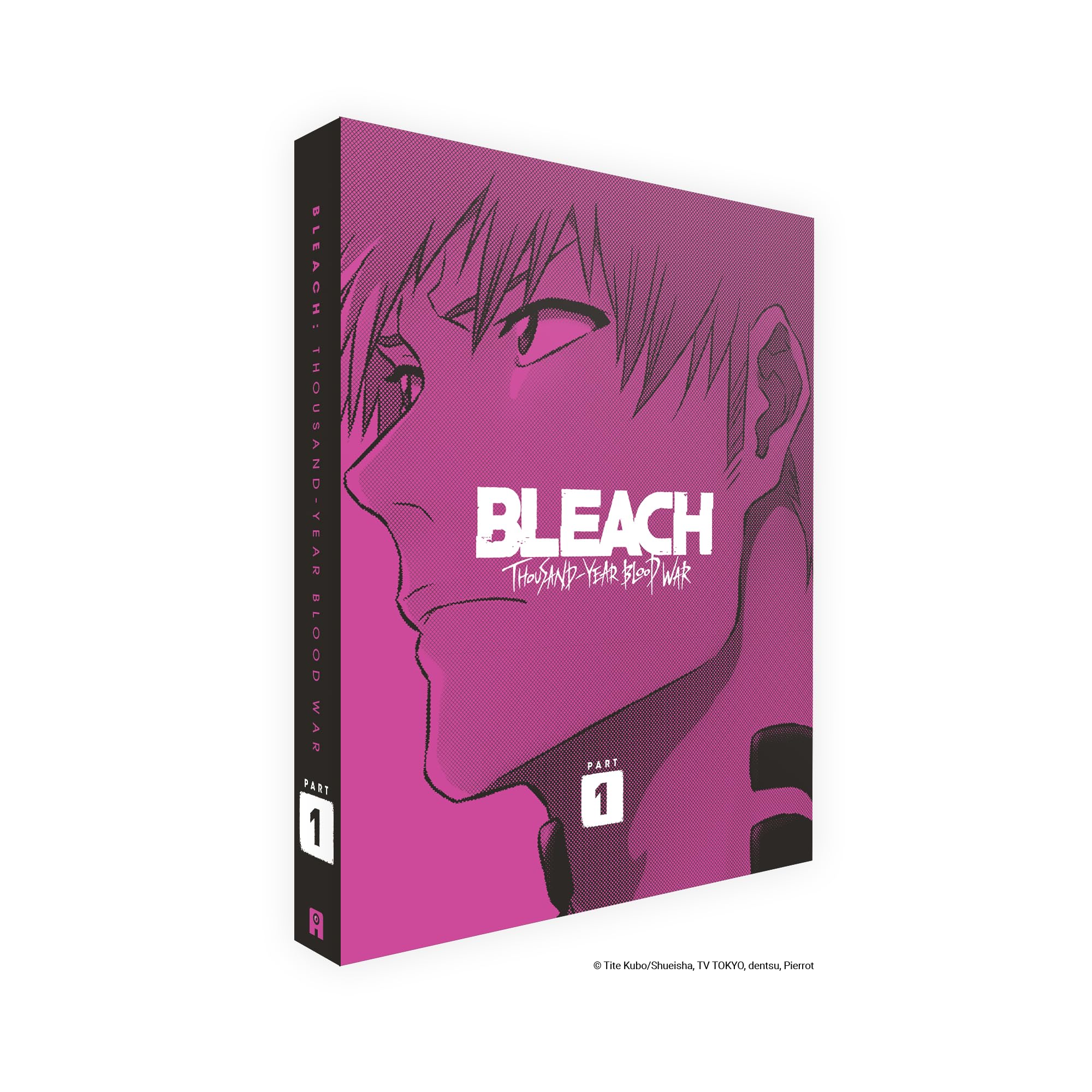 Bleach : thousand-year blood war - part 1