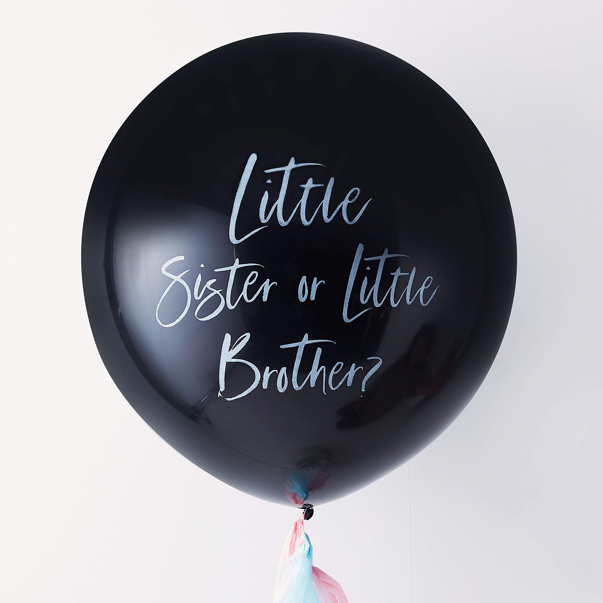 Buy Ginger Ray Little Brother or Little Sister Gender Reveal Party