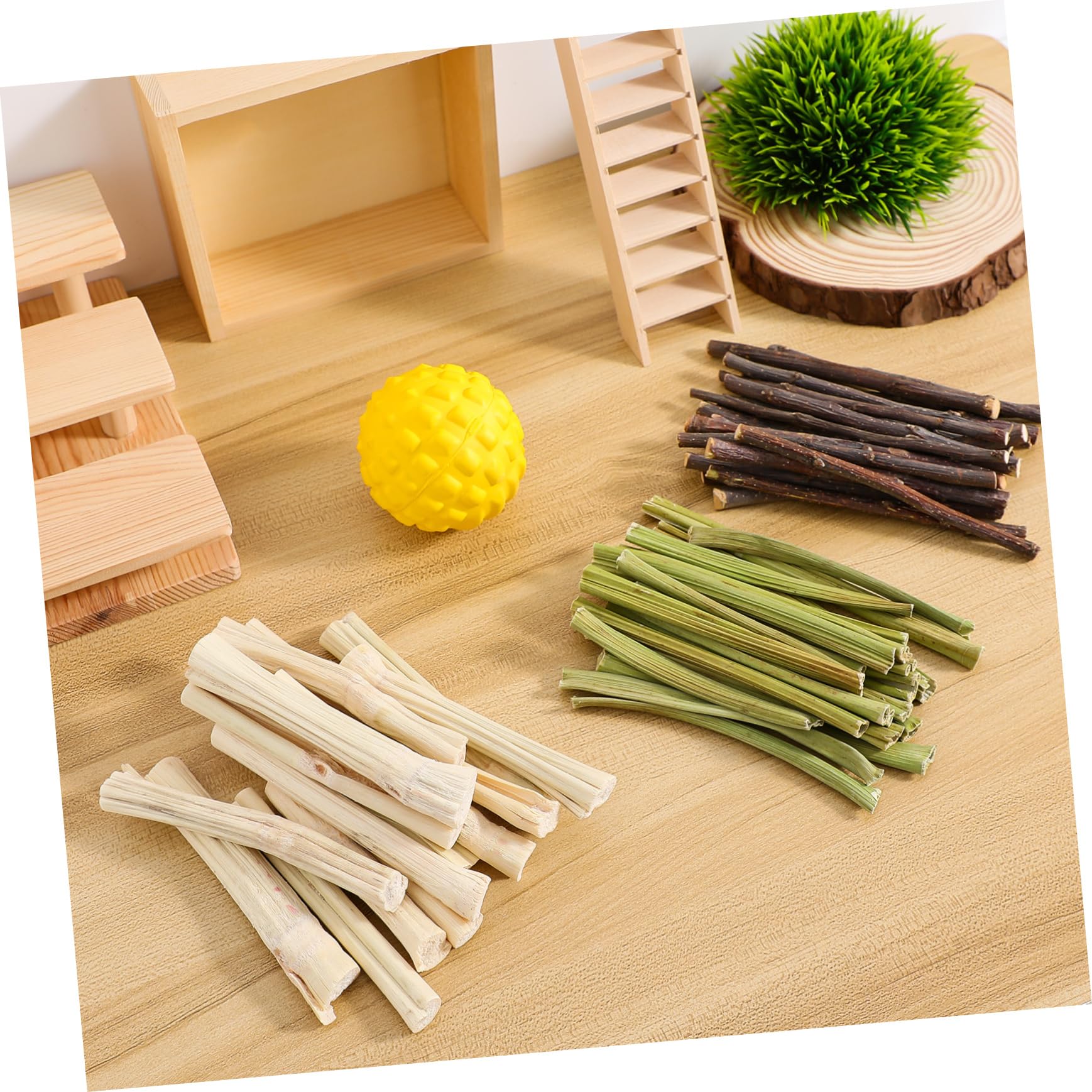 Toddmomy Giocattoli da Masticare per Conigli Bastoncini Naturali in Legno per Denti Piccoli Animali 55 Pezzi Snack Legnosi per Criceti Cincillà e Porcellini D’india
